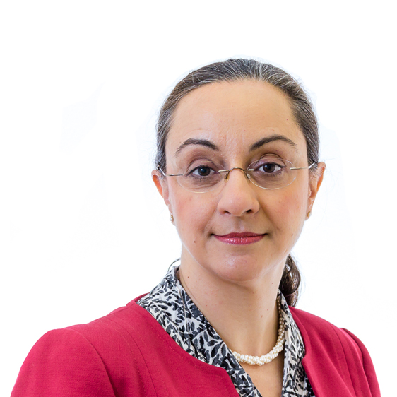 Professor Narciss Okhravi