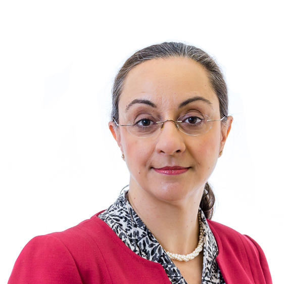 Professor Narciss Okhravi