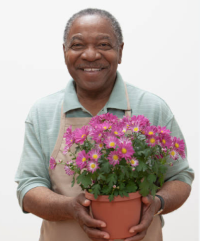 Person in a gardening apron holding a pot of pink/purple flowers